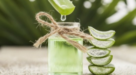 Aloe You VERA MUCH! LIFESTYLE, Uroda - Produkty SKIN NATURAL zawierają ekstrakt z Aloe Vera Barbadensis, który pochodzi z biologicznie kontrolowanych upraw w Meksyku, a jego uzdrawiającą moc poznano już 5 000 lat temu!